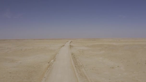 エアリアル アルカリ砂漠 オマーン — ストック動画