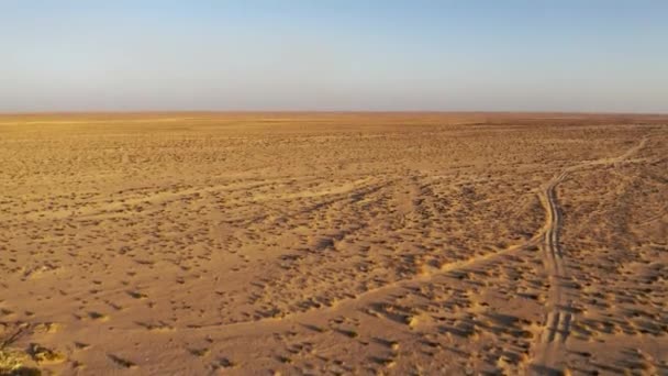 エアリアル アルカリ砂漠 オマーン — ストック動画