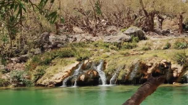 阿曼Darbat Waterfalls — 图库视频影像