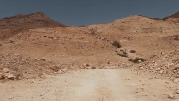Road Wadi Oman — Stock videók