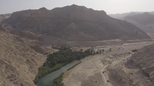Aérea Volando Por Encima Hermoso Oasis Wadi Nakheel Omán — Vídeo de stock