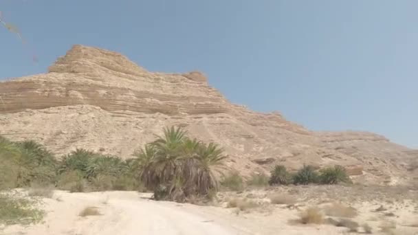 Beautiful View Khor Senaq Oasis Wadi Nakheel Oman — ストック動画