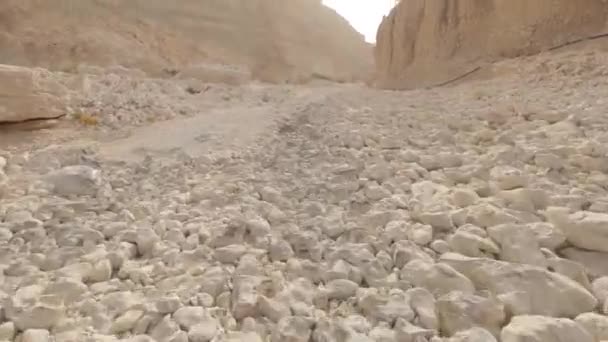 Driving Dirt Tracks Deserts Oman — Vídeo de Stock
