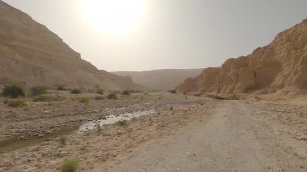 Driving Dirt Tracks Deserts Oman — Video Stock