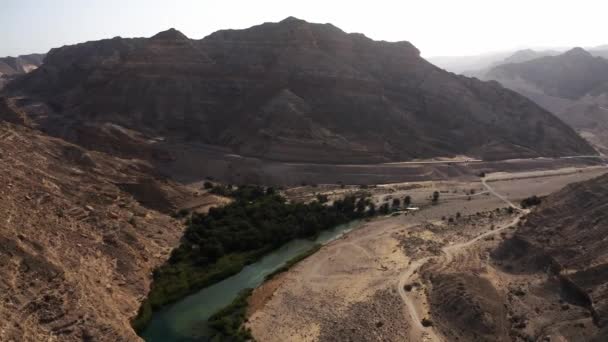 Aérea Volando Por Encima Hermoso Oasis Wadi Nakheel Omán — Vídeos de Stock