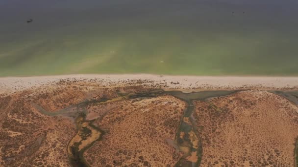 Aerial Unknown Wadis East Coast Oman — Stock video