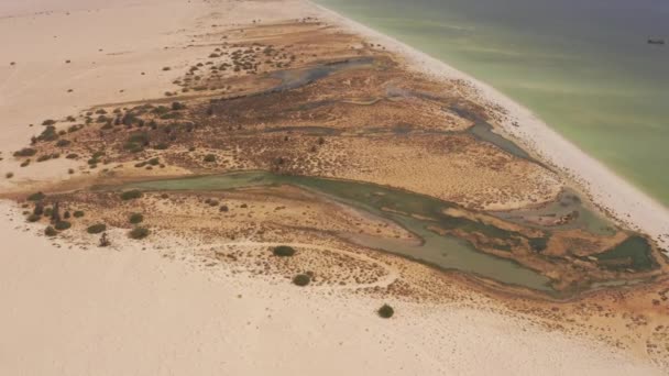 Aerial Unknown Wadis East Coast Oman — Stock videók