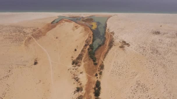 Aerial Unknown Wadis East Coast Oman — стоковое видео