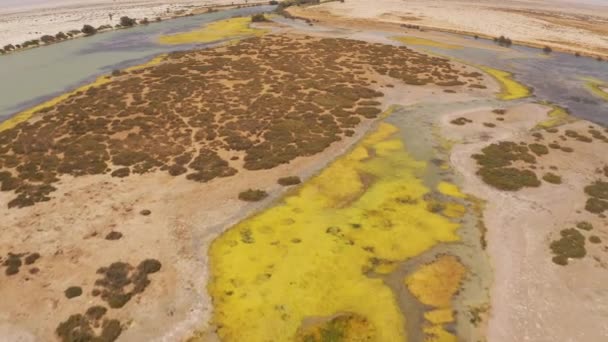 Aerial Unknown Wadis East Coast Oman — Video Stock