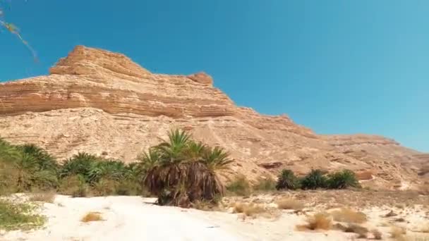 Beautiful View Khor Senaq Oasis Wadi Nakheel Oman — Stockvideo