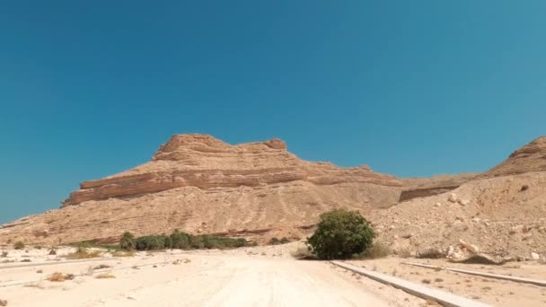 Водіння Вздовж Східного Узбережжя Оман — стокове відео