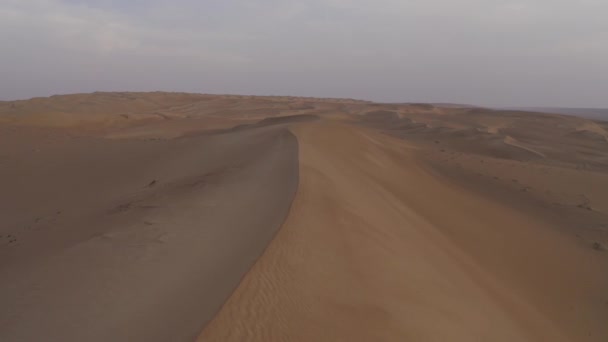 Aerial View Deep Wahiba Sands Oman — стокове відео