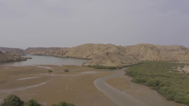 Aerial Atas Bandar Khairan Pantai Timur Oman — Stok Video