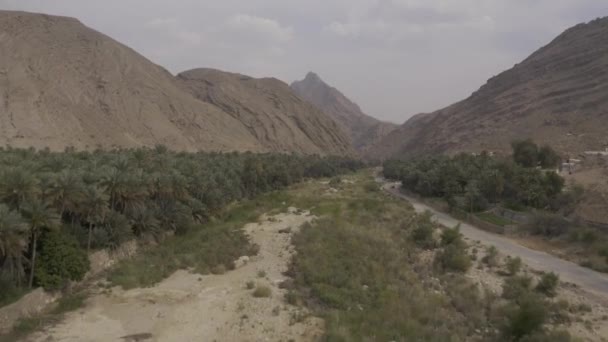 Aerial Drone View Area Wadi Bani Khalid Oman — стоковое видео