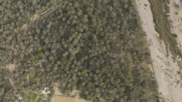 Aerial Drone View Area Wadi Bani Khalid Oman — Vídeos de Stock