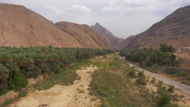 Aerial Drone View Area Wadi Bani Khalid Oman — Stockvideo