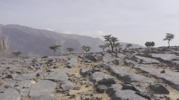 Jebel Shams의 아름다운 — 비디오