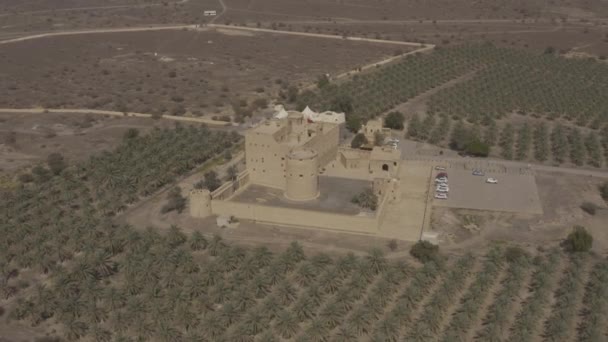 Aerial Grand Mosque Oman 图库视频