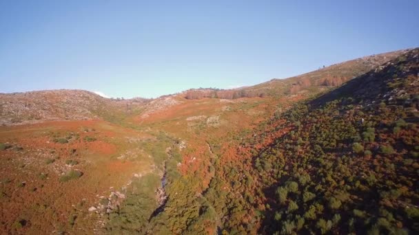 Aéreo Voando Paisagem Montanhosa Parque Nacional Peneda Geres Portugal — Vídeo de Stock
