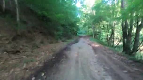 Переезд Через Зеленый Лес Румынии — стоковое видео