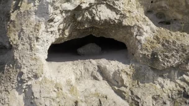 Εναέρια Του Σπηλαίου Butesti Ρουμανία — Αρχείο Βίντεο