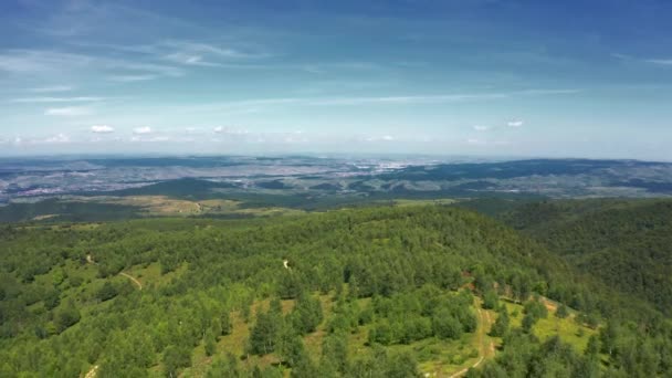 Luchtfoto Boven Karpaten Bossen Roemenië — Stockvideo