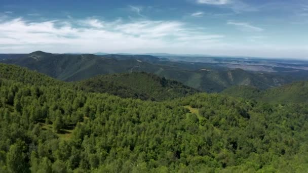 Romanya Nın Karpat Dağları Ormanlarının Üzerindeki Hava — Stok video