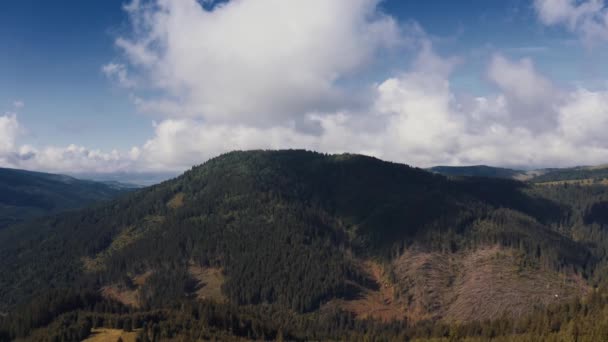 Aerial Carpathian Mountains Forests Romania — Videoclip de stoc