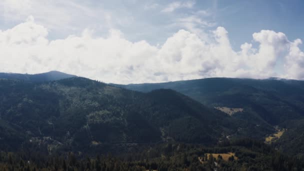 Aerial Carpathian Mountains Forests Romania — Stock video