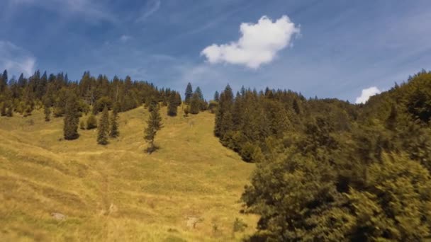 Aerial Lake Vidraru Transfagarasan Romania — Vídeo de Stock