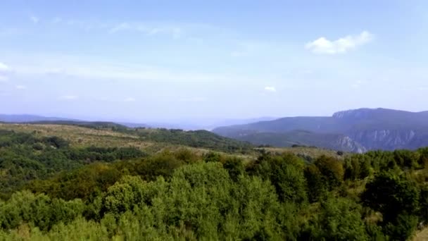 Воздушный Фермерские Земли Вокруг Дубовы Вид Румыния — стоковое видео