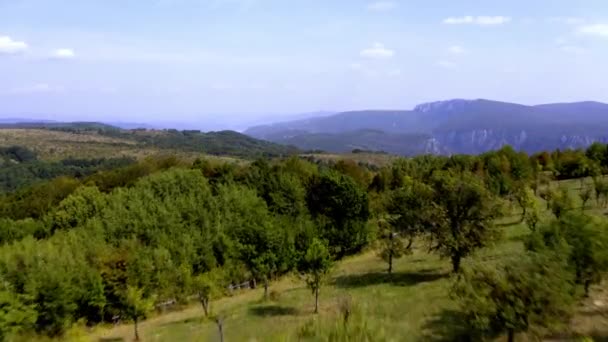 Воздушный Фермерские Земли Вокруг Дубовы Вид Румыния — стоковое видео