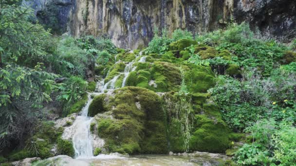 Pisoaia Waterfalls Romania Native Hlg Material — Video Stock