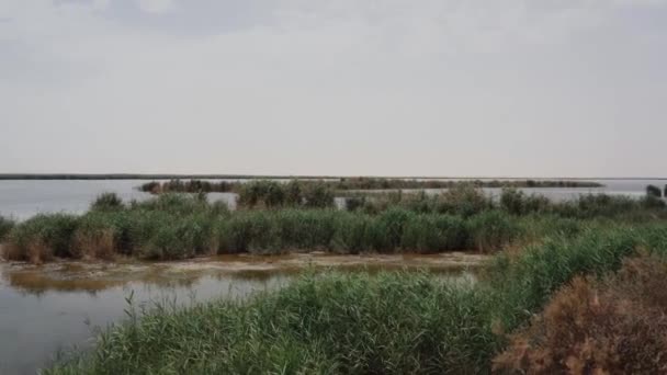 サウジアラビア イエロー湖の美しい景色 — ストック動画
