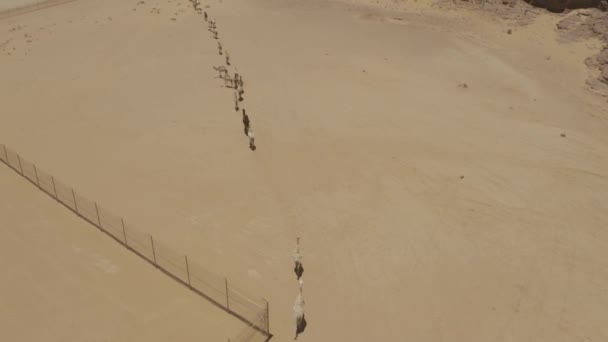 Prachtig Uitzicht Vanuit Lucht Landschappen Rond Ula Saudi Arabië — Stockvideo