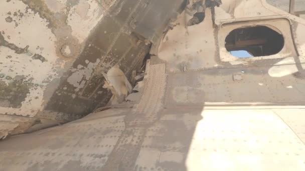 Spacer Katalońskim Wraku Samolotu Arabia Saudyjska — Wideo stockowe
