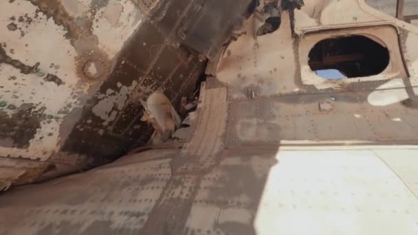 Walk Catalina Seaplane Wreckage Саудовская Аравия — стоковое видео