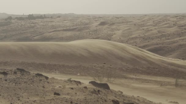Vientos Fuertes Desierto Parque Recreativo Zulfi Arabia Saudita — Vídeos de Stock