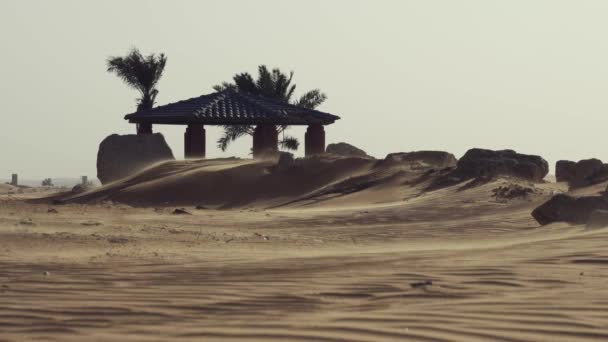 サウジアラビアのアルザフィレクリエーションパークで砂漠で強い風 — ストック動画