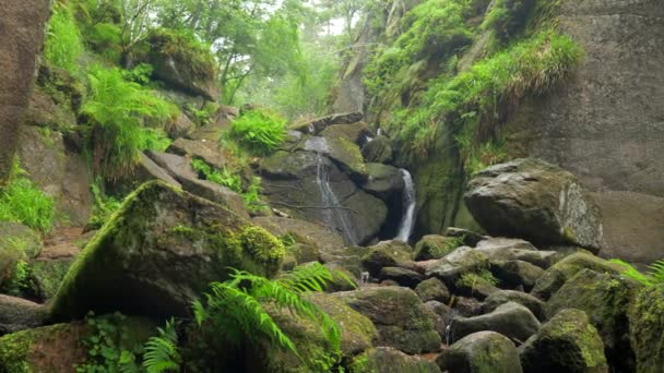 Vista Fascinante Cachoeira Natureza Fundo Viagem — Vídeo de Stock