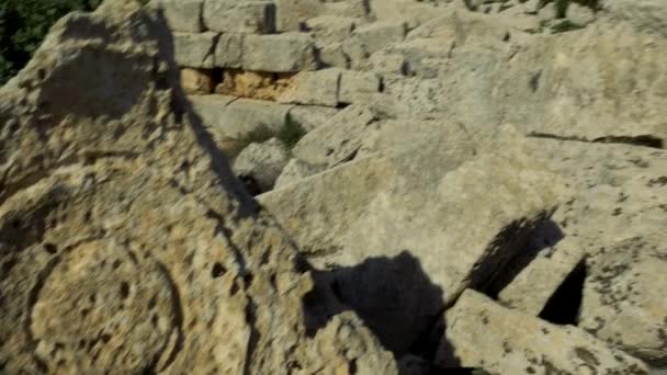 Parco Archeologico Selinunte Sicilya Talya — Stok video