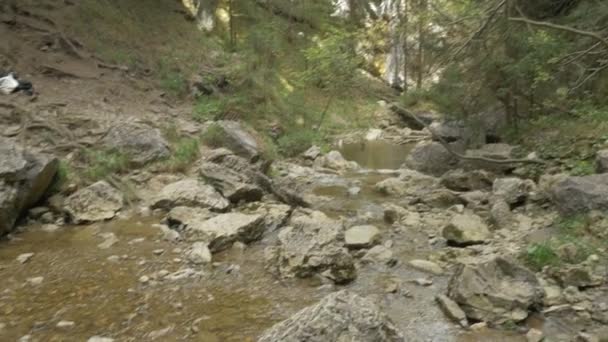 Kvacianska Dolina Waterfall Slovakia Nature Background — 비디오