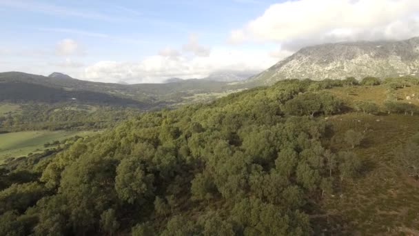 Aérea Vuelo Cerca Montañas Largo Cadenas Montañosas Andalucía España — Vídeos de Stock
