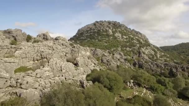 Vol Long Une Chaîne Montagnes Dans Parc Naturel Sierra Grazalema — Video
