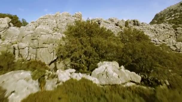 Luftaufnahme Flug Entlang Einer Bergkette Naturpark Sierra Grazalema Andalusien Spanien — Stockvideo
