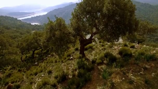 Flyg Över Barriärsjö Spanien Embalse Guadarranque Andalusien — Stockvideo