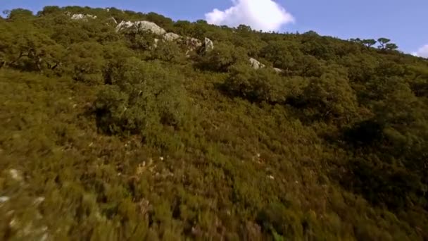 Політ Над Бар Єрним Озером Іспанії Ембальсе Гуараранке Андалусія — стокове відео