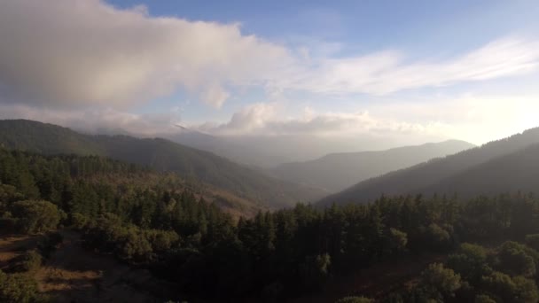 Flight Forest Beaten Track Andalusia Spain — Stock Video