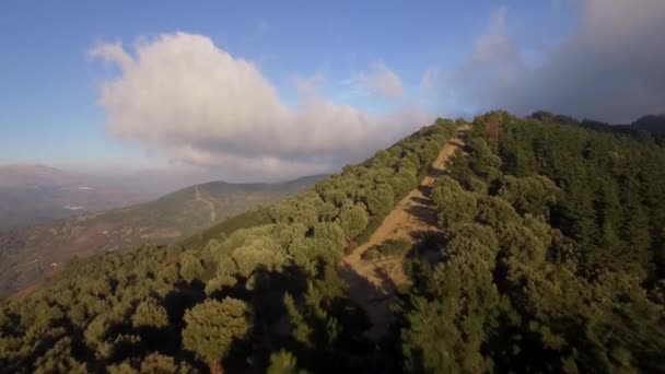 打ち負かされたトラック アンダルシア スペインの森の上の飛行 — ストック動画