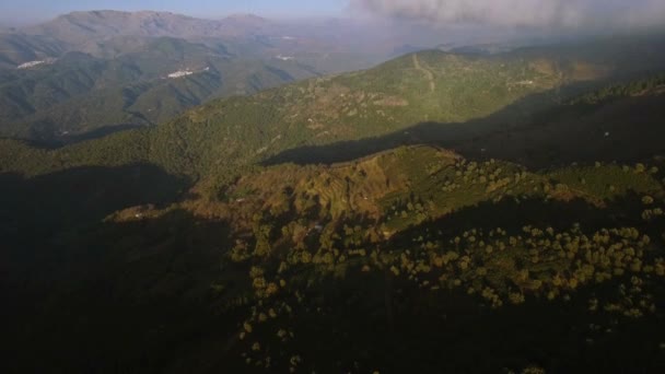 西班牙安达卢西亚 在一片森林中飞奔 远离人迹罕至的小路 — 图库视频影像